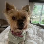 Lynne Roberts - @lynne.roberts.100 - Instagram