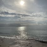 Lynne Roberts - @lynneroberts267 - Instagram