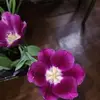 Lynne Roberts - @lynne.roberts1 - TikTok