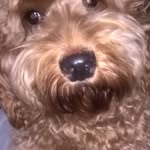 Lynne Roberts - @lynneroberts7438 - Instagram
