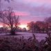 Lynne Roberts - Facebook