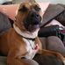 Lynne Shertock Roper - Facebook