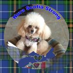 Lynne Sampson - @lynnesampson3334 - Instagram