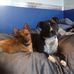 Lynne Sampson - Facebook