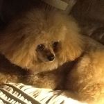 Lynne Sampson - @lynne.sampson.52 - Instagram
