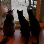 Lynn Sapp - @lynn.sapp.77 - Instagram