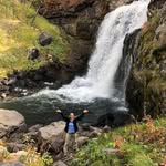 Lynne Seibert - @lynneseibert_ - Instagram