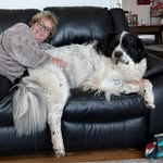 Lynne Self Jenkins - @mohawk63 - Instagram