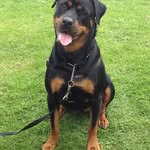 Lynne Shaw - @lynneshaw2 - Instagram
