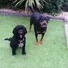 Lynne Shaw - @lynne.shaw80 - TikTok