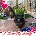 Lynne Shaw - Facebook