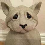 Lynne Shaw - @lynne.shaw6 - Instagram
