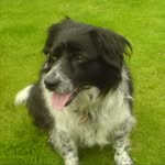 Lynne Shaw - @shaw.lynne1803 - Instagram