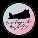 Lynne Sheets - @countrysideragolls - Instagram