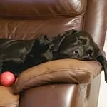 Lynne Shepherd - @lynnes300 - Instagram