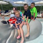 Lynne Shepherd - @lynneshep - Instagram