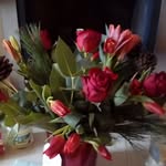 Lynne Shepherd - @shepherdlynne5 - Instagram