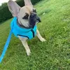 Lynn Sinclair - @lynn.sinclair88 - TikTok