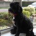 Lynne Solomon - Facebook