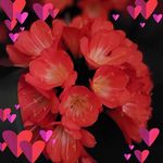 Lynn Spooner - @lynn.spooner.31 - Instagram