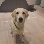 Lynn Spooner - @spooner8297 - Instagram
