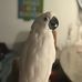 Lynne Stauffer - Facebook