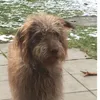 Lynn Steffens  - @unicorn1234898432166 - TikTok