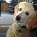 Lynne Steffens - Facebook