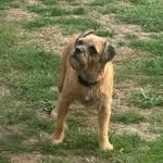 Lynne Stevenson - @lynnesmith3187 - Instagram