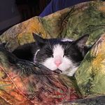 Lynne Stevenson - @lynne.stevenson.50 - Instagram