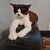 Lynne Stevenson - Facebook