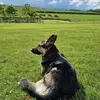 Lynne Stevenson - @lynne.stevenson2 - TikTok