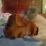 Lynne Sutherland - @lynne.sutherland57 - Instagram