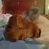 Lynne Sutherland - @lynne.sutherland3 - TikTok