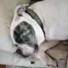Lynn Travers - @lynn.travers - TikTok