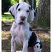 Lynne Travis - Facebook