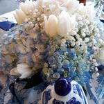 Lynne Wilkens Travis - @lynne_w_travis - Instagram