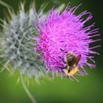 Lynn Upton-Roddy - @lynn.ur_photos - Instagram