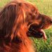 Lynne Venable - Facebook