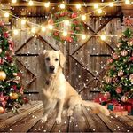Lynn Vickers - @tigerlady1263 - Instagram