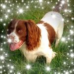 Lynne Vickers - @lynne.vickers.71 - Instagram