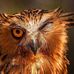 Lynne Wagner - Facebook