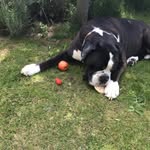 Lynne Waites - @lynne.waites - Instagram