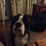 Lynne Waites - @lynnewaites - Instagram