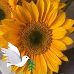 Lynne Walters - @aunt23boyz - Instagram