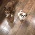 Lynne Walters - Facebook