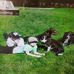 Lynne Rowe - Facebook