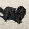 Lynne Warren - @lynne.warren1 - TikTok