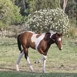 Lynne Webb - @lynnewebb54 - Instagram