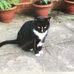 Lynne Webb - Facebook